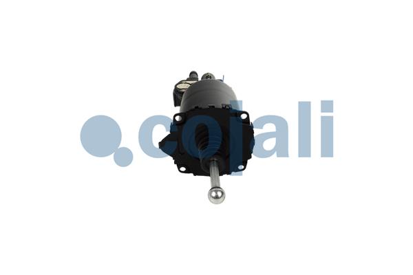 Cojali Koppelingsversterker 2250341