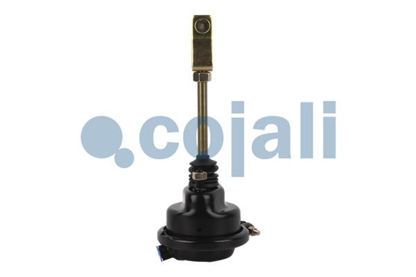 Cojali Remcilindermembraan 2251100