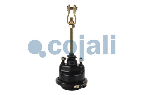 Cojali Remcilindermembraan 2251100