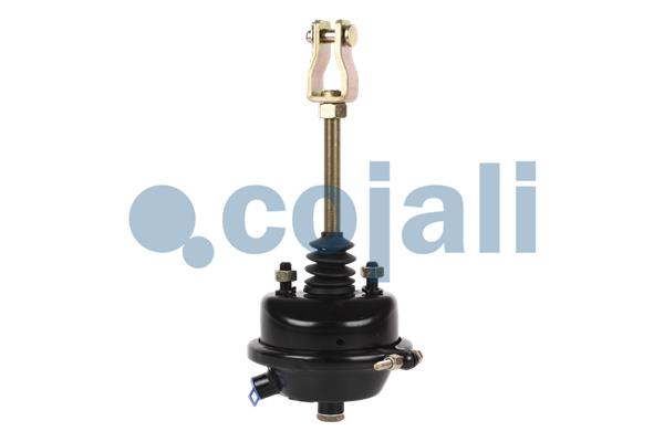 Cojali Remcilindermembraan 2251101