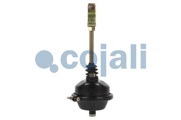 Cojali Remcilindermembraan 2251101