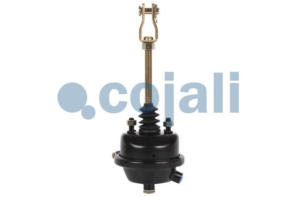 Cojali Remcilindermembraan 2251101