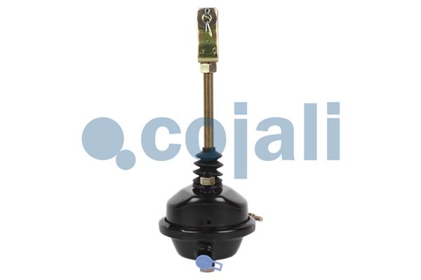 Cojali Remcilindermembraan 2251101