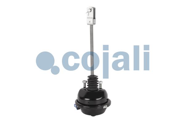 Cojali Remcilindermembraan 2251102