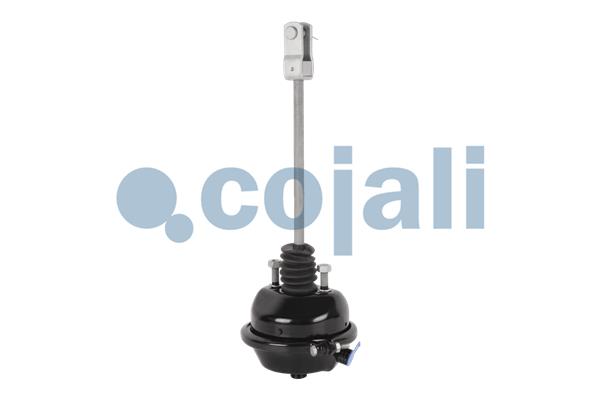 Cojali Remcilindermembraan 2251102