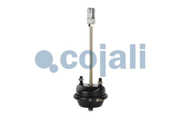 Cojali Remcilindermembraan 2251104