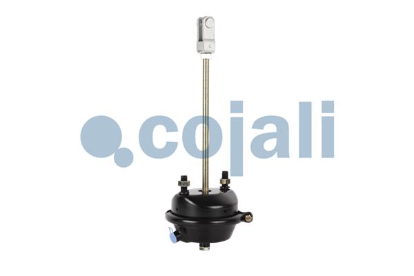 Cojali Remcilindermembraan 2251104