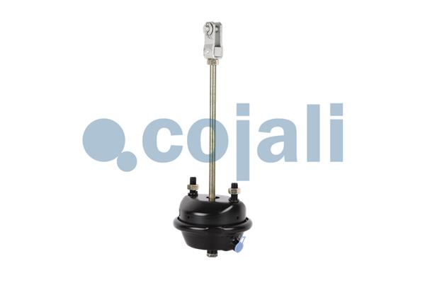 Cojali Remcilindermembraan 2251104