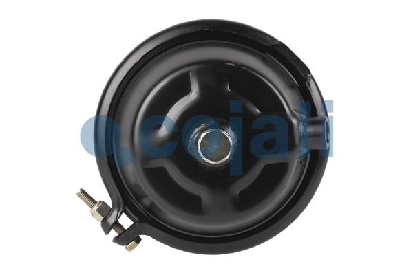 Cojali Remcilindermembraan 2251104