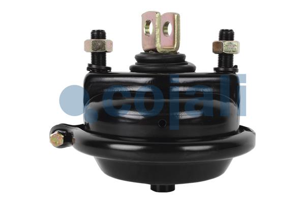 Cojali Remcilindermembraan 2251105