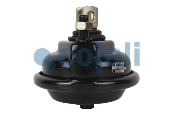 Cojali Remcilindermembraan 2251105