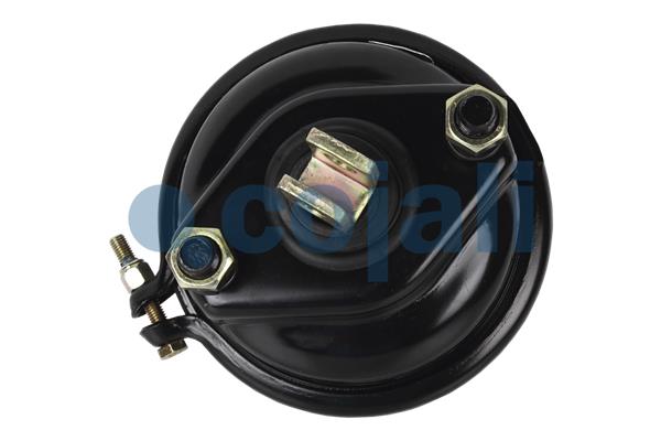 Cojali Remcilindermembraan 2251105