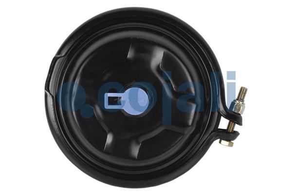 Cojali Remcilindermembraan 2251105