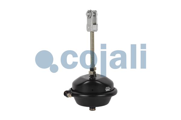 Cojali Remcilindermembraan 2251107