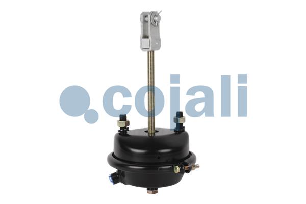 Cojali Remcilindermembraan 2251107