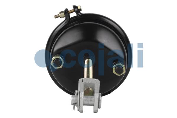 Cojali Remcilindermembraan 2251107