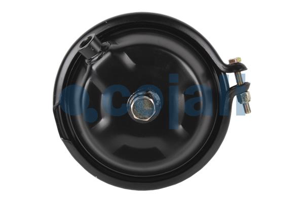 Cojali Remcilindermembraan 2251107