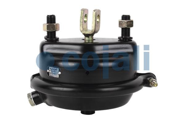 Remcilindermembraan Cojali 2251109