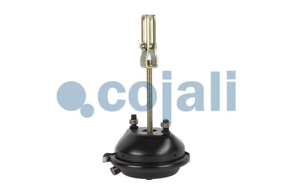 Cojali Remcilindermembraan 2251112