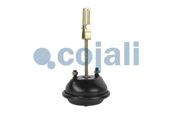 Cojali Remcilindermembraan 2251112