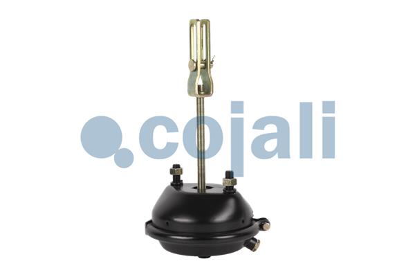 Cojali Remcilindermembraan 2251112