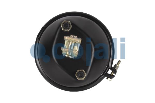 Cojali Remcilindermembraan 2251112