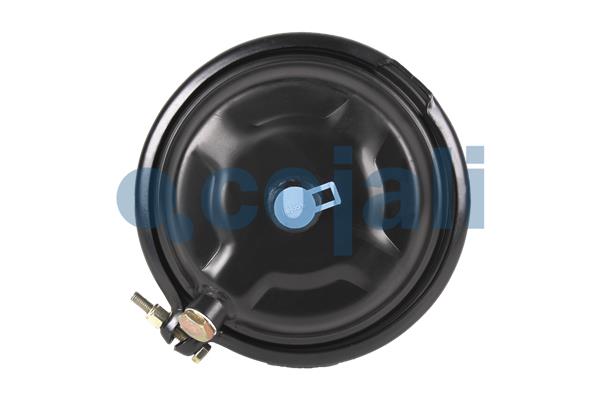 Cojali Remcilindermembraan 2251112