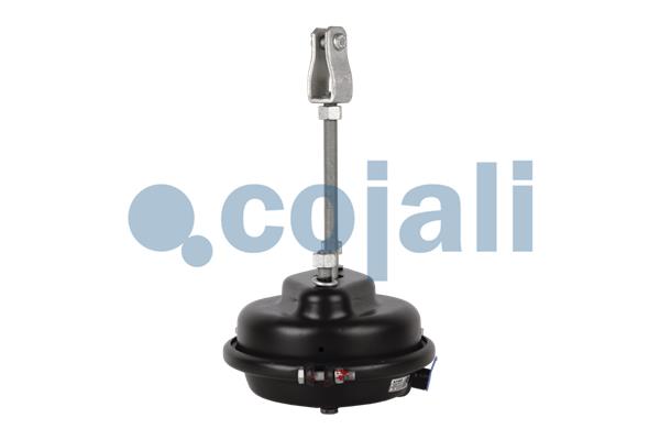 Cojali Remcilindermembraan 2251113