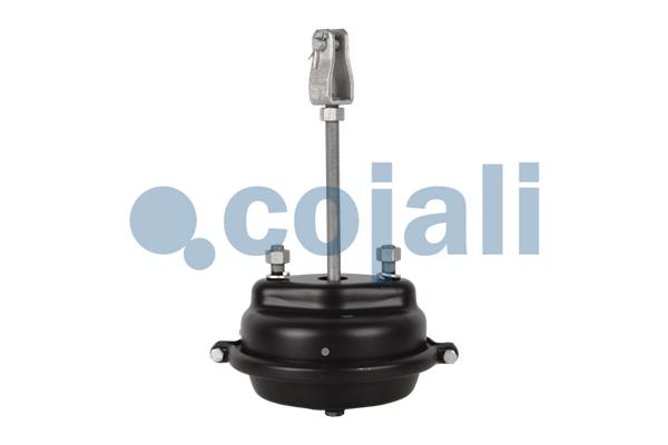 Cojali Remcilindermembraan 2251113