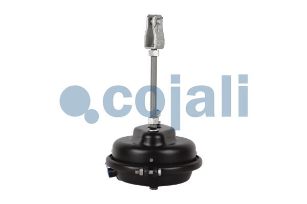 Cojali Remcilindermembraan 2251113