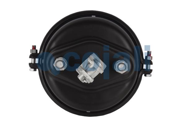 Cojali Remcilindermembraan 2251113