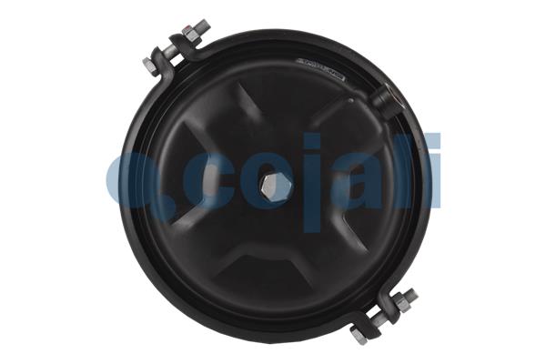 Cojali Remcilindermembraan 2251113