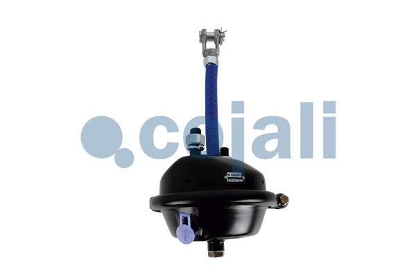 Cojali Remcilindermembraan 2251117