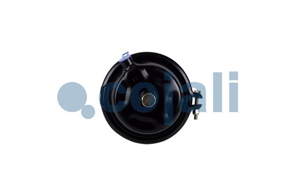 Cojali Remcilindermembraan 2251117