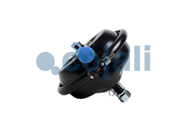 Cojali Remcilindermembraan 2251119