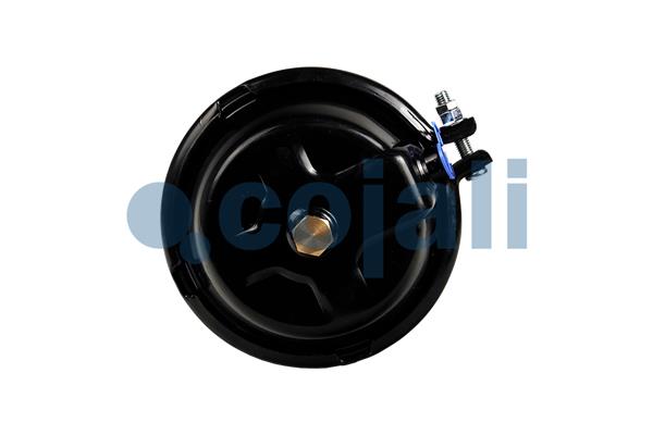 Cojali Remcilindermembraan 2251123