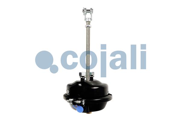 Cojali Remcilindermembraan 2251123