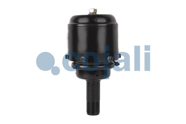 Cojali Veeraccumulator remcilinder 2251300