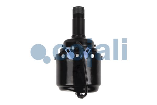 Cojali Veeraccumulator remcilinder 2251301