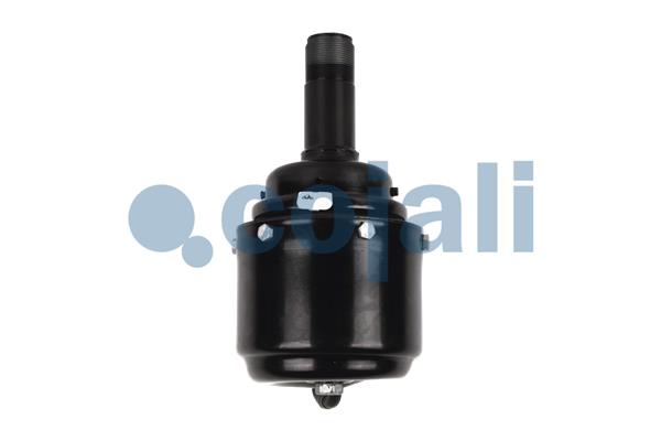 Cojali Veeraccumulator remcilinder 2251301