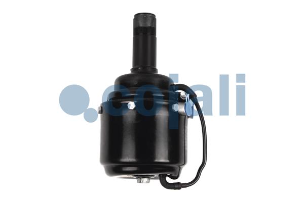 Cojali Veeraccumulator remcilinder 2251301