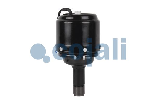 Cojali Veeraccumulator remcilinder 2251302