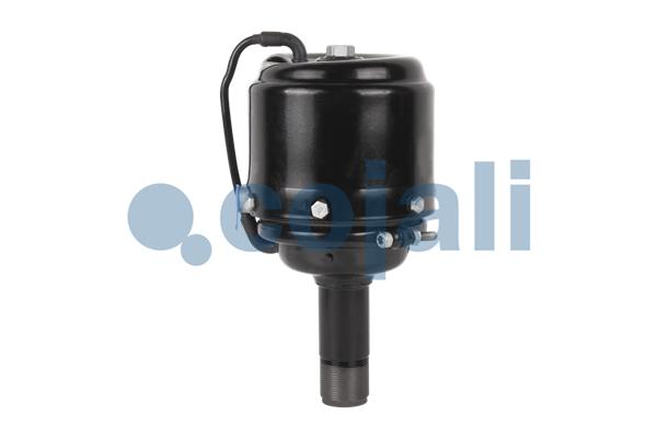 Cojali Veeraccumulator remcilinder 2251302