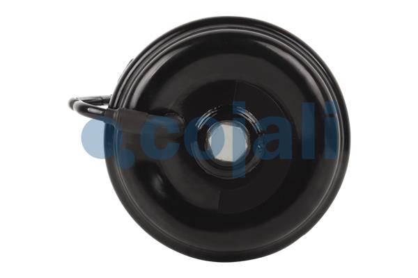 Cojali Veeraccumulator remcilinder 2251302