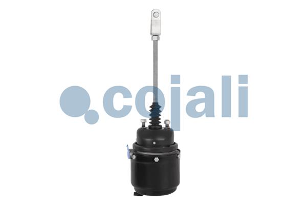 Cojali Veeraccumulator remcilinder 2251303