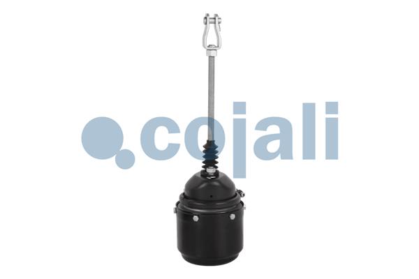 Cojali Veeraccumulator remcilinder 2251303