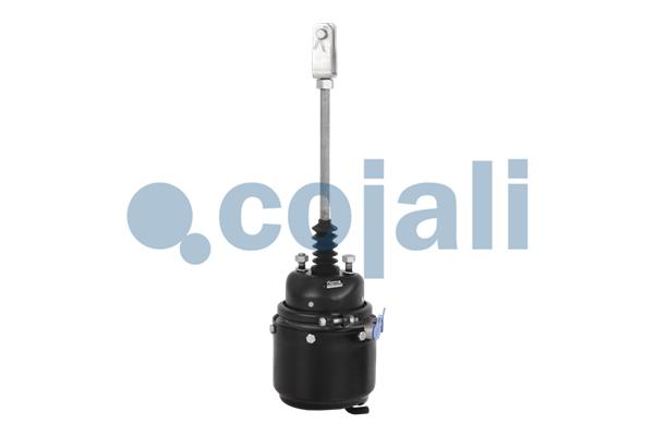 Cojali Veeraccumulator remcilinder 2251303