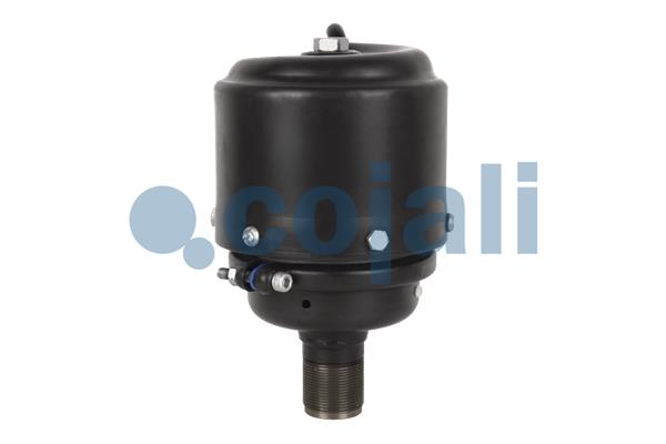 Cojali Veeraccumulator remcilinder 2251304