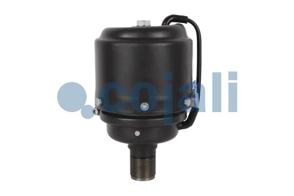 Cojali Veeraccumulator remcilinder 2251304