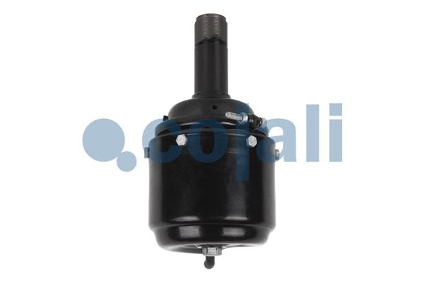 Cojali Veeraccumulator remcilinder 2251305